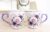 Set 2 cani personalizate pentru cuplu
